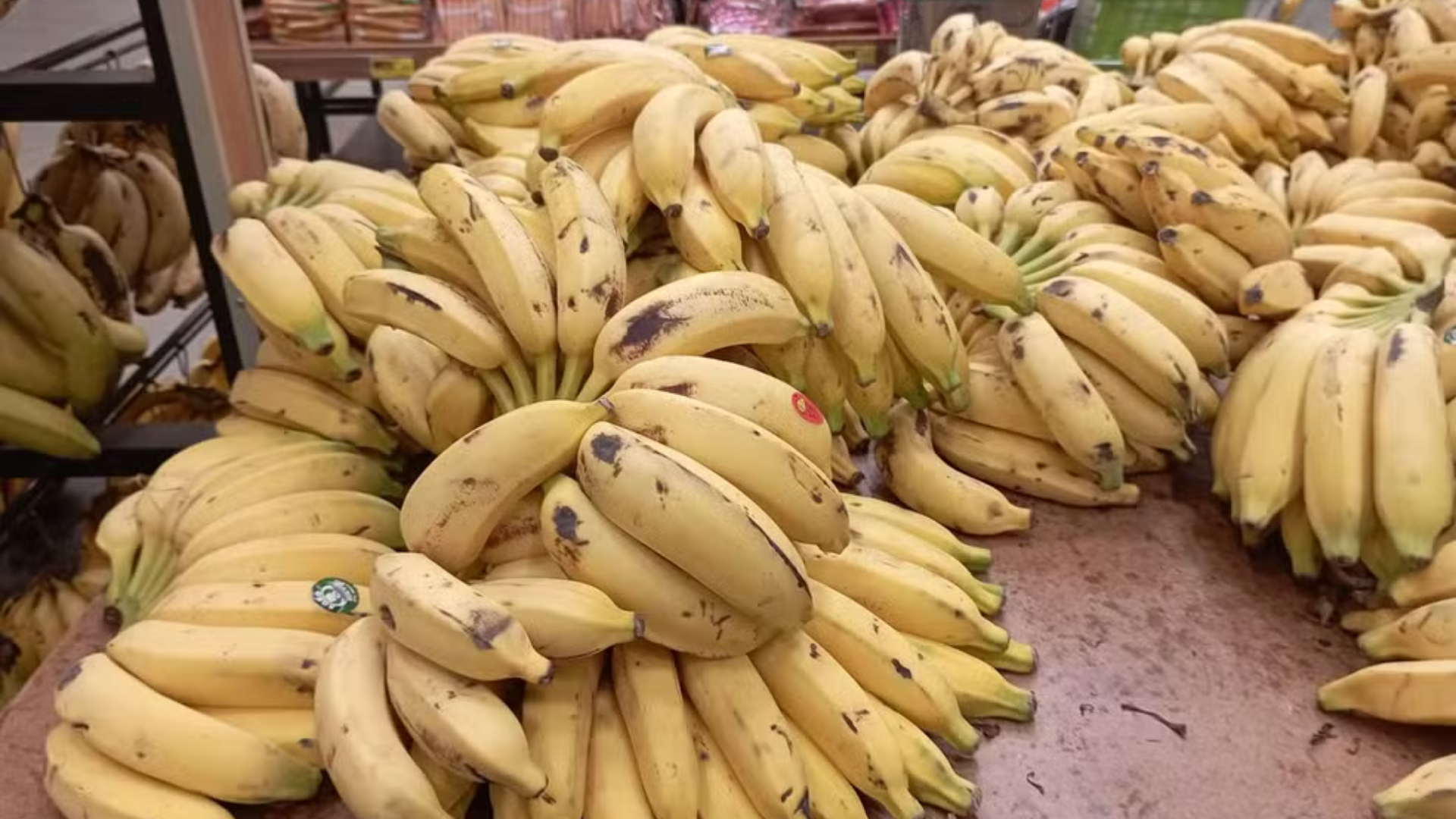 Estudo prevê ‘crise’ no cultivo de banana: fruta ‘símbolo’ de comida barata pode deixar de ser acessível