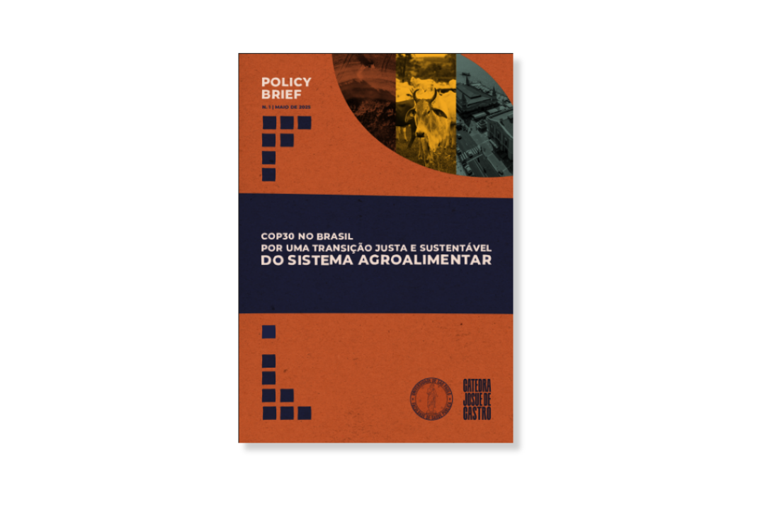 Policy Brief: COP 30 no Brasil – Por uma transição justa e sustentável do sistema agroalimentar