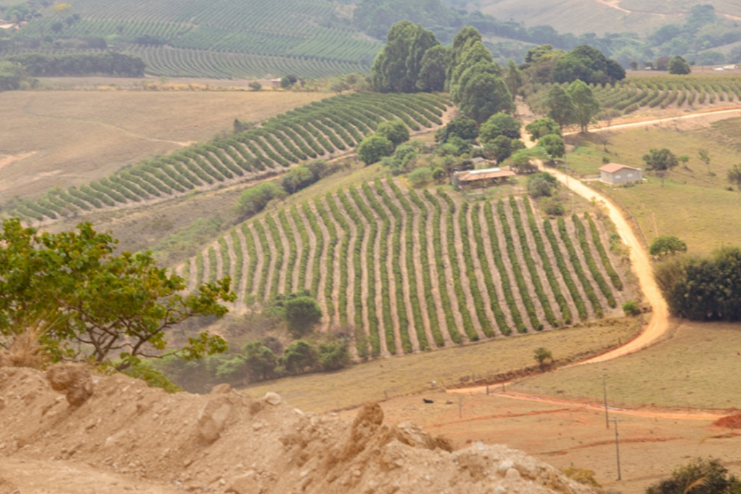 Sistemas agroalimentares: Oficina de nivelamento com Juscelino Bezerra e Shadia Husseini (em breve)